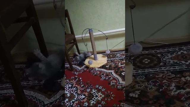 На вершине смотреть онлайн