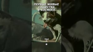 Первые живые существа в космосе