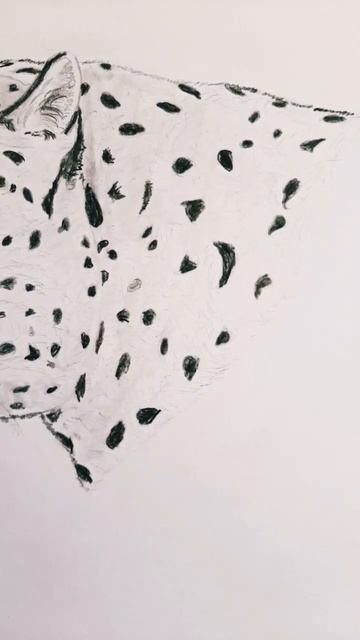 Leopardo #disegno #disegnoamatita #animales #leopard #drawing #draw #followme #leopardo #ytshorts смотреть онлайн