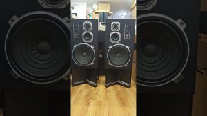 Колонки DENON SC-3000