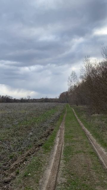 Красивая природа