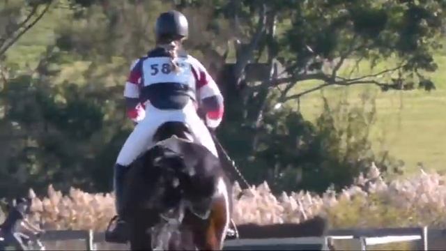 Niki Rose riding PURBECK DIESEL 581 EvA80 Intro) Eventing Equestriad Australia CNC ODE 2013 смотреть онлайн
