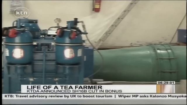 Changing fortunes for tea farmers смотреть онлайн