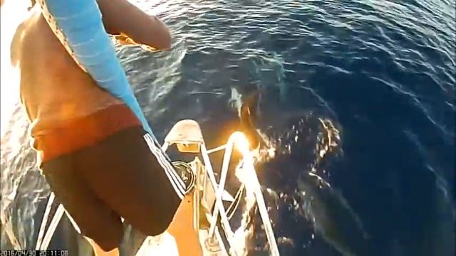 Greece Sailing 2016 - Плаване с ветроходна яхта в Гърция - Йонийско и Егейско море смотреть онлайн