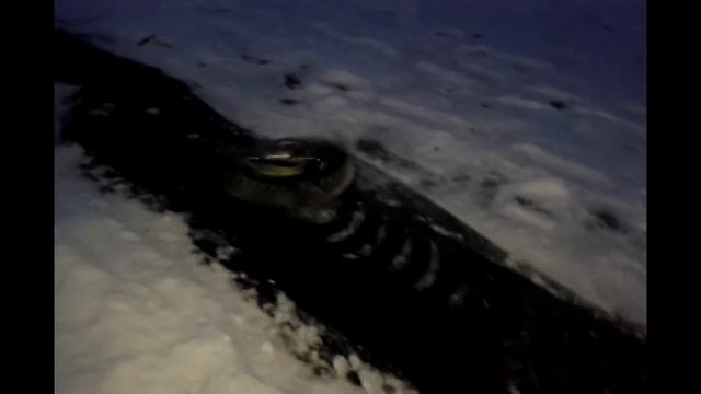 Полировщик льда :D смотреть онлайн