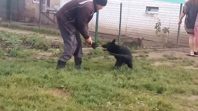 27 сентября 2016 г. смотреть онлайн