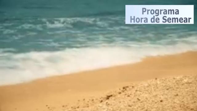 A Correção de Deus para a sua vida, Hebreus 12.5 (devocional) смотреть онлайн
