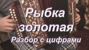 Рыбка золотая. (040 гармонь с цифрами)