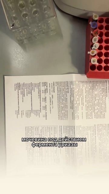 Точный рН - активные Ферменты! Оптимальный рН - залог активности Ферментов! смотреть онлайн