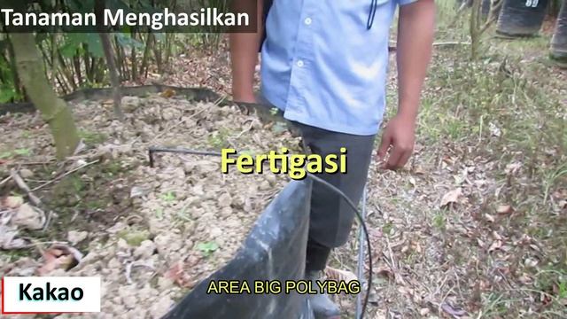 BLRS#04. Agronomi Tanaman Karet, Kakao & Teh смотреть онлайн