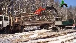 Валочно пакетирующая машина ЛП-19 с погрузочным навесным оборудованием