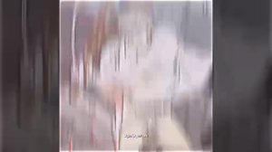 Ночь у берега
