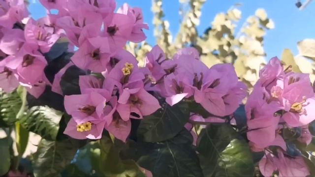 Лена об одном только жалела, что приняла обратно Валеру, когда была беременная. Где были ее глаза? смотреть онлайн