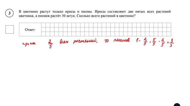 ВПР. Математика. 8 класс. В цветнике растут только ирисы и пионы. Ирисы составляют две смотреть онлайн