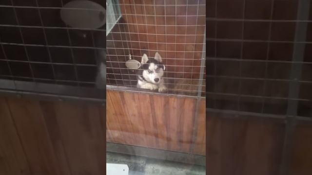 шаньти скучно смотреть онлайн