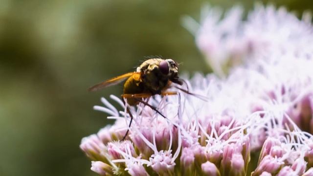 Summer In Silesia - Treated With FilmConvert