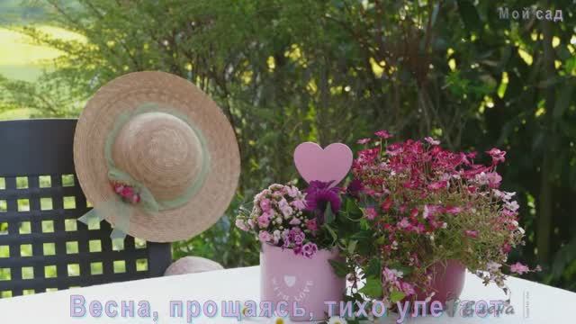 А из МАЯ выход один --  в ЛЕТО*      Мой сад