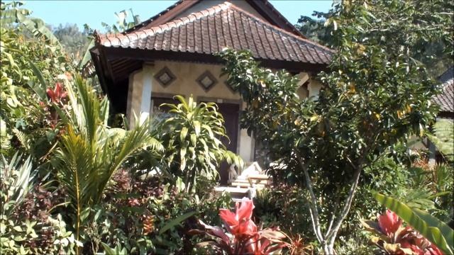 Great Montain Views Villa Resort смотреть онлайн