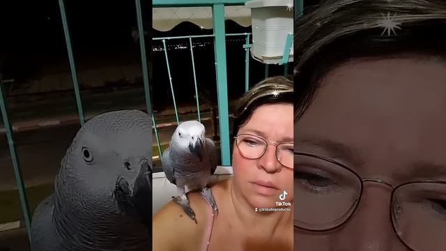 30 октября 2022 г. смотреть онлайн