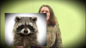 Почему Монтян уехала в Египет...