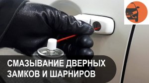 Как смазать замочные скважины замки ограничители и петли дверей Лада Гранта ФЛ