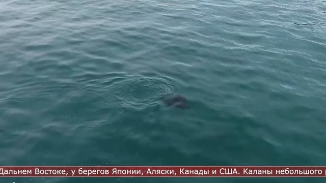 2.12.2022 Солнечное утро смотреть онлайн