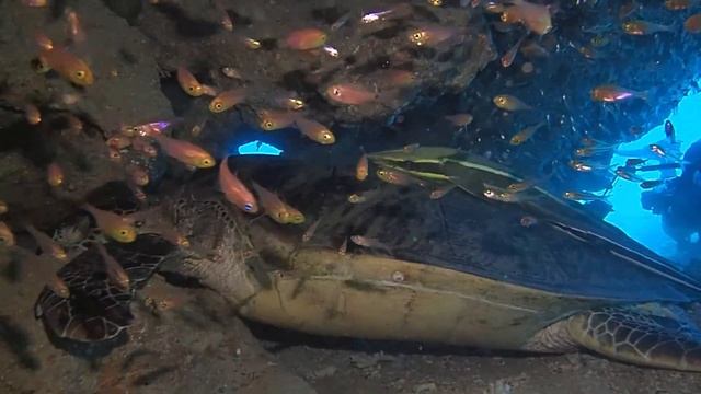 le Triton Bros Technical Rebreather and DPV Dive at Uenchi Itoman Okinawa Japan смотреть онлайн