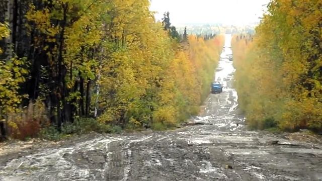 Мое измененное видео смотреть онлайн