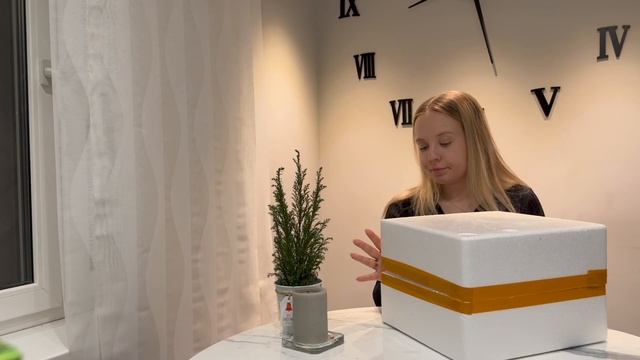 СЭКОНОМИЛА БОЛЬШЕ 20.000 РУБЛЕЙ НА ТАРЕЛКАХ смотреть онлайн
