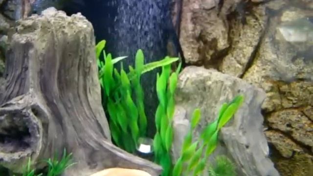 Trigon 350 смотреть онлайн