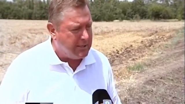 К уборке урожая в Брюховецком районе подключились студенты аграрного колледжа смотреть онлайн