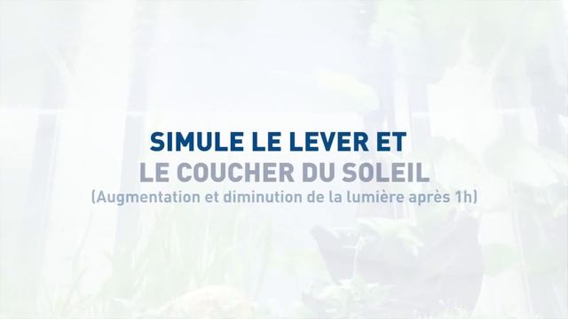 Rampes LED pour aquariums Easy LED Universal d'Aquatlantis - Présentation смотреть онлайн