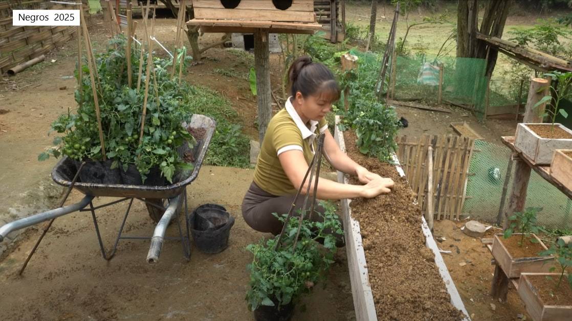 Дорис 44. Дорис делает большой ящик на столбах для помидор и высаживает в него рассаду. Кормит птицу смотреть онлайн