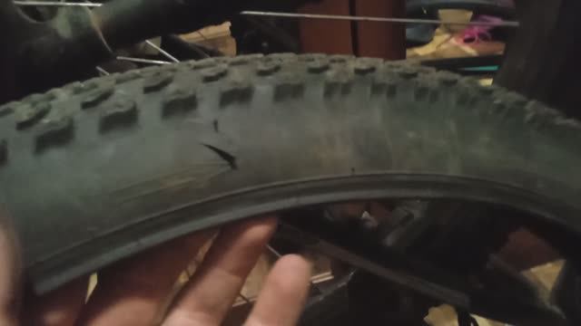 Всего понемногу