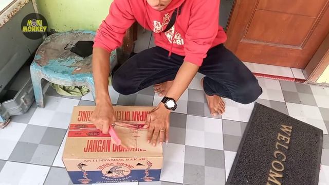 cute baby monkey unboxing #mokimonkey #monyetlucu #monpailucu смотреть онлайн