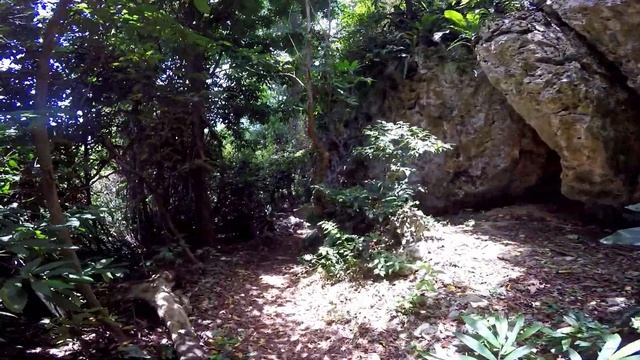 Parque Estatal Julio Enrique Monagas смотреть онлайн