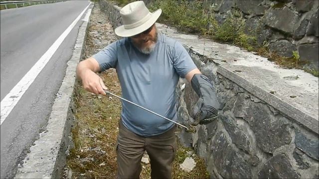 looking for vipers in Hubei China смотреть онлайн