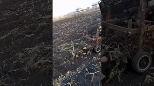 Моя самодельная картофелекопалка на гидромоторе.