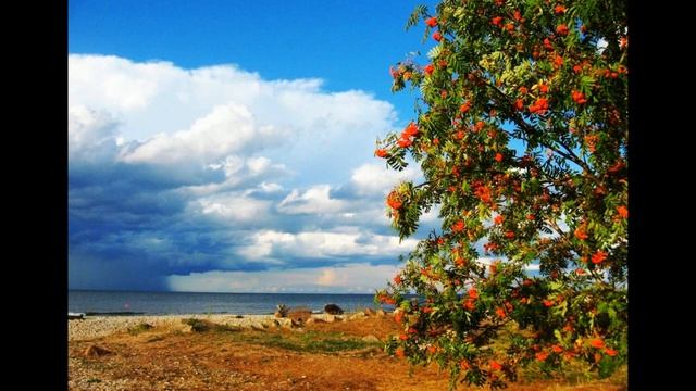 Скоро осень Елена Дохман смотреть онлайн