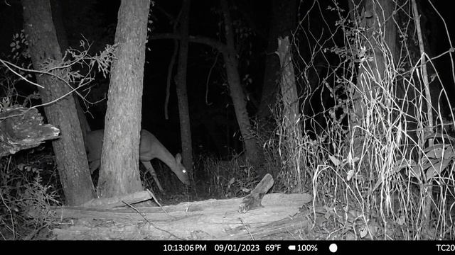 Campark TC20 4G Cellular Trail Camera Review смотреть онлайн