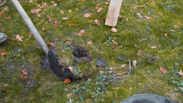 Schuttingpaal plaatsen met snelbeton — Houthandelonline #5 смотреть онлайн