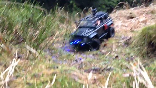 Dingo 01 Schwarzfahrer смотреть онлайн