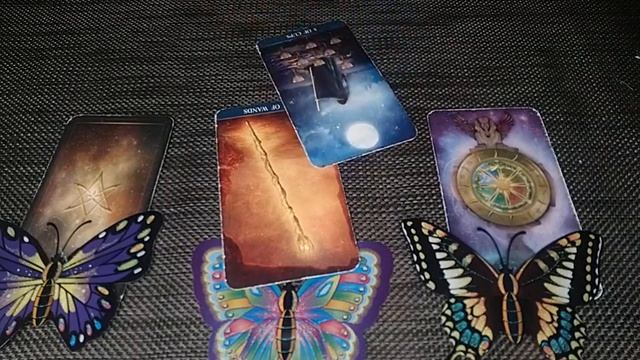 Чем порадует следующая неделя? #гаданиеонлайн #vina_taro смотреть онлайн