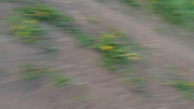БАБУИНЫ. 2 ЧАСТЬ. смотреть онлайн
