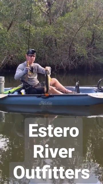 Hobie Kayak fishing snook out of Estero River Outfitters #hobie #snook #hobiefishing смотреть онлайн