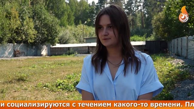 Новости 01 09 2021 смотреть онлайн