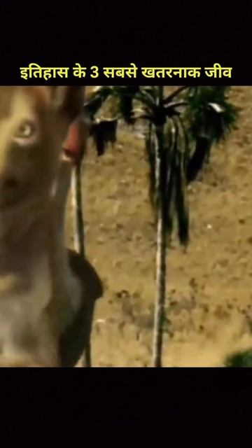 इतिहास के 3 सबसे खतरनाक जीव | most dangerous animals in history #shorts смотреть онлайн