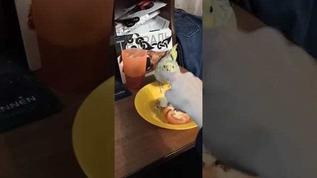 Это мое двуногий смотреть онлайн