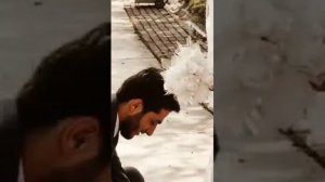 Жуфти халолим