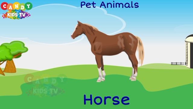 Pet Animal Phonics A to Z for Kids and Toddlers | #cartoons | Learn & Play | @colorcandykidsTV смотреть онлайн